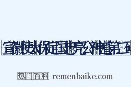 宣徽使太保定国忠亮公神道第二碑是什么意思的图片
